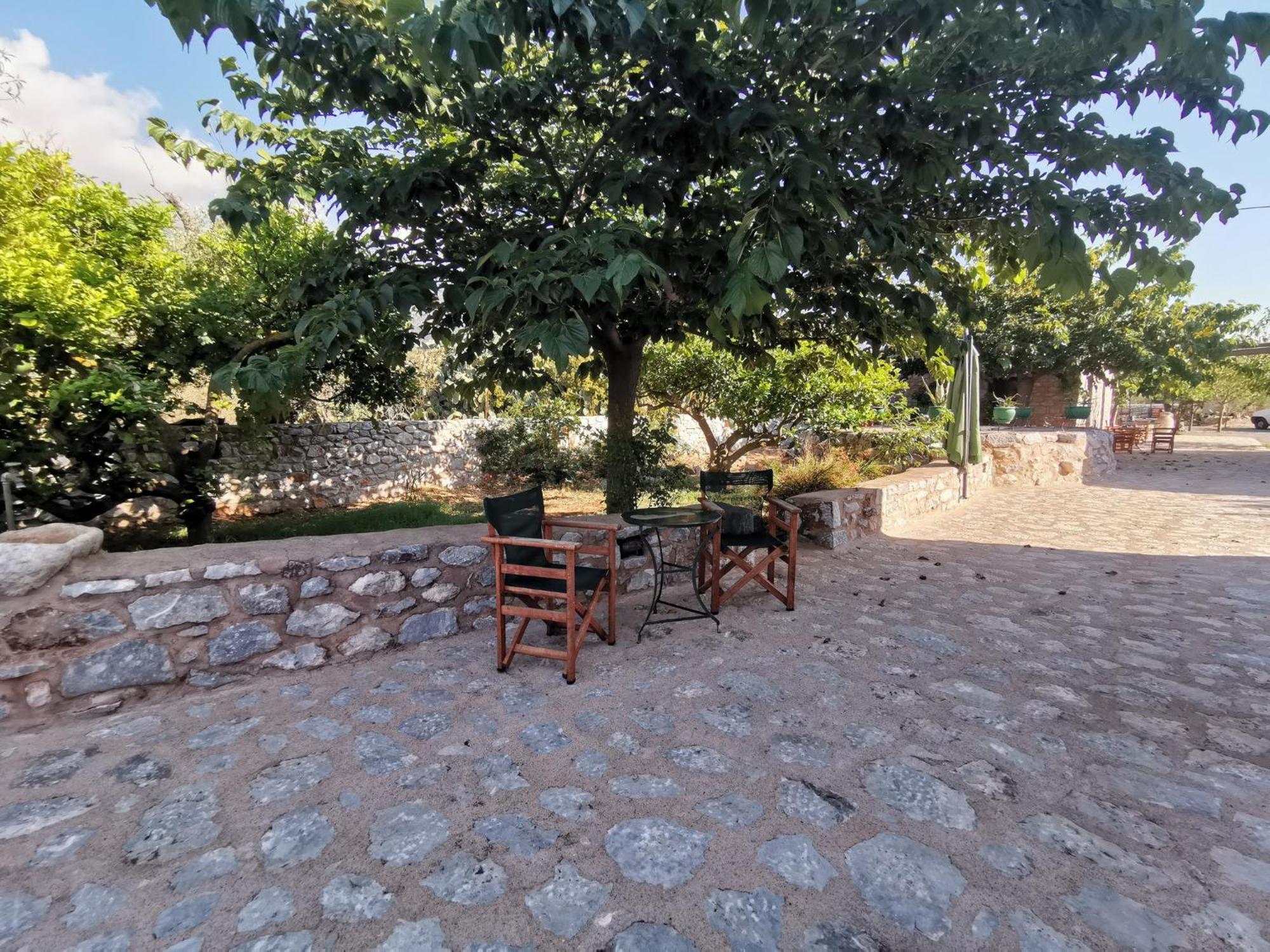 Παραδοσιακό Ξενοδοχείο Τοξότης Pírgos Dhiroú Εξωτερικό φωτογραφία